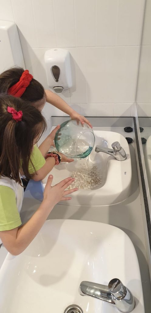 FD62FDE7 FF15 45E7 8CE5 17CA4E8AC88F • Llegan dos compañeros muy especiales a Primaria: Lily y Perla