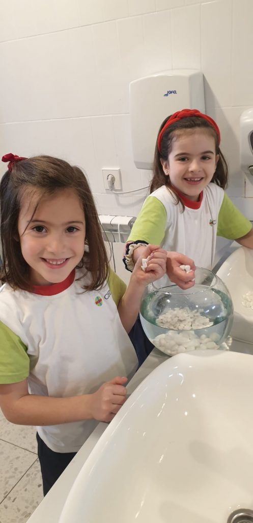 FE5A31E2 2ADE 44FB ADEB B7F81B9CB014 • Llegan dos compañeros muy especiales a Primaria: Lily y Perla