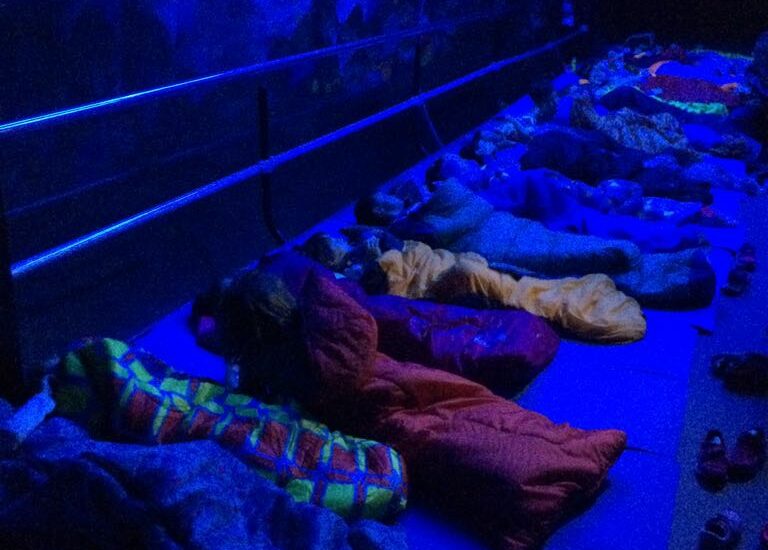 IMG 20170609 WA0008 &bull; Durmiendo con peces