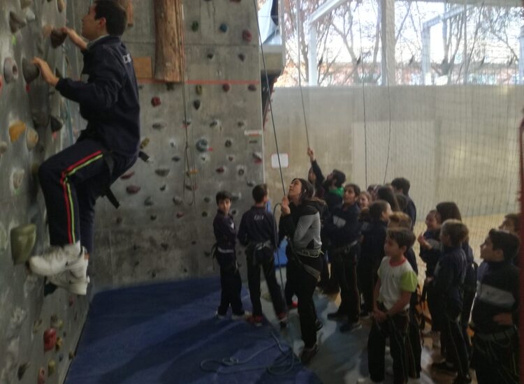 IMG 20191212 WA0005 &bull; ¡6º de Primaria se va de escalada!