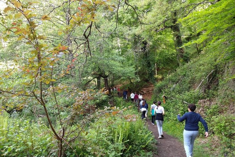 IMG 20190523 104842096 &bull; 2º de ESO disfruta de unos días de inmersión lingüística en el albergue de Barria