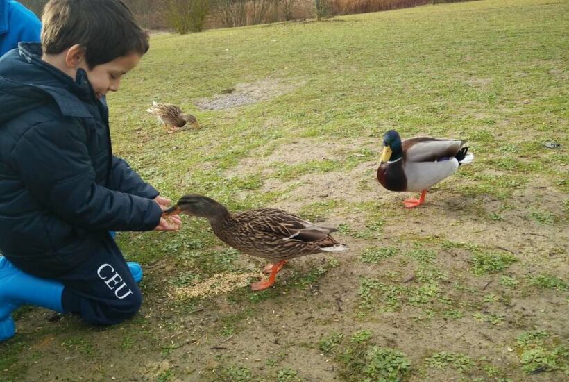 file11 13 &bull; Educación Infantil conoce el parque de Salburua